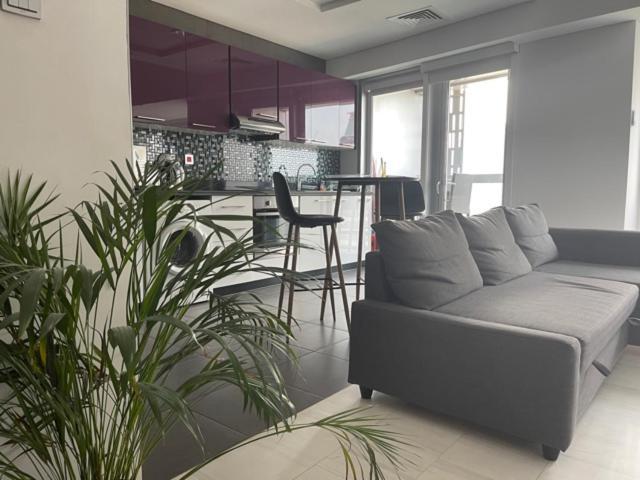 Cayan Tower Luxury Apartment With Sea View Дубай Екстериор снимка